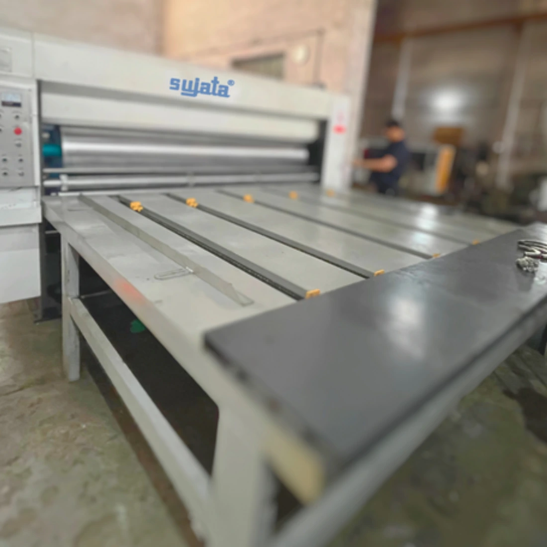 Rotary Die Cutting Machine with Chain Feeder